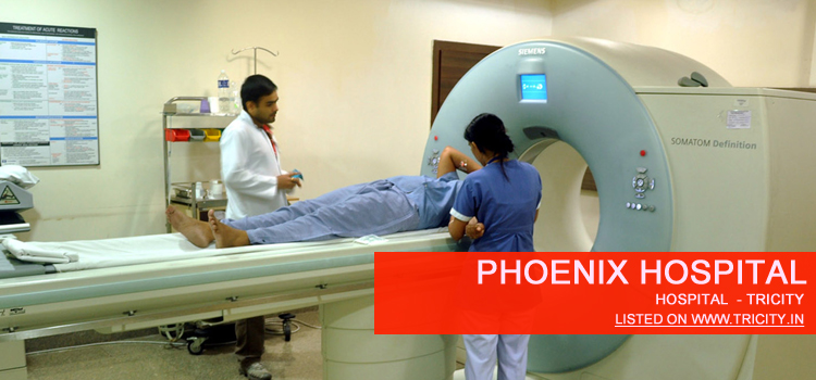 Phoenix Hospital panchkula