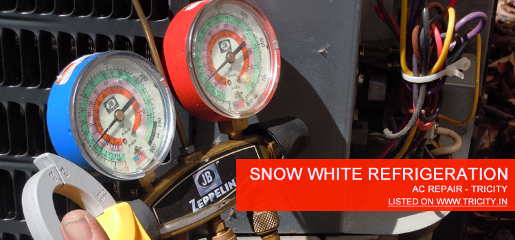 Snow White Refrigeration Chandigarh