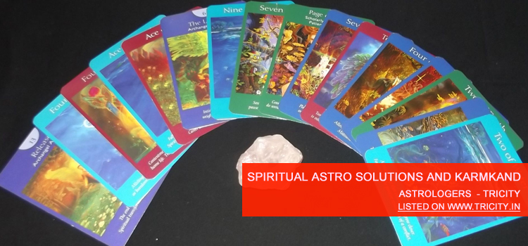 Spiritual Astro Solutions And Karmkand Chandigarh