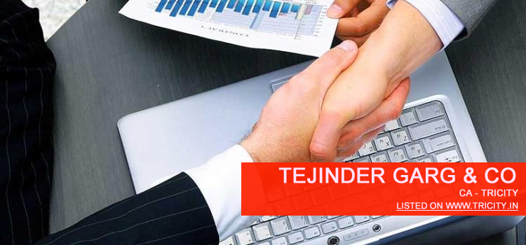 Tejinder Garg & Co Chandigarh