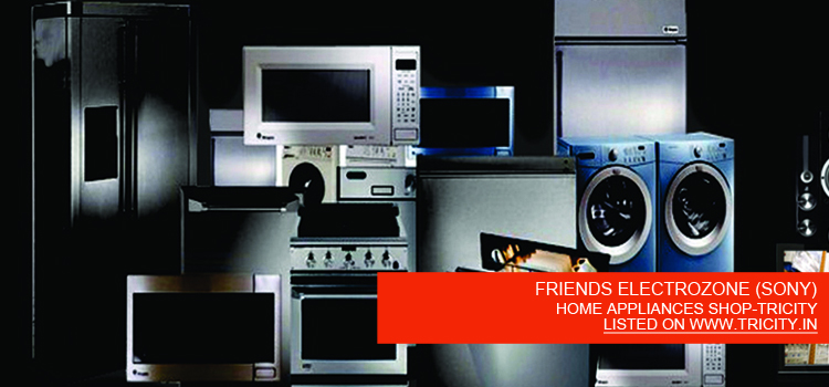 FRIENDS ELECTROZONE (SONY)