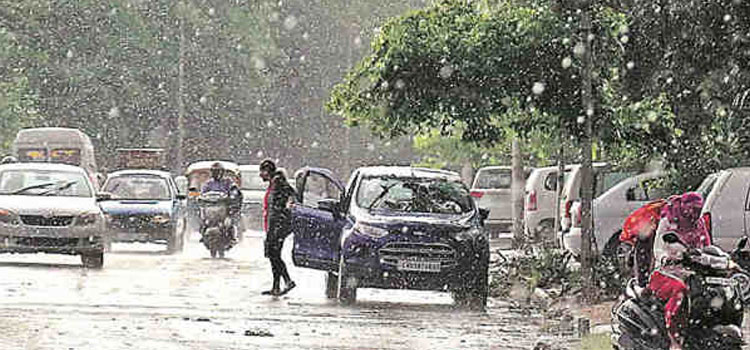 Chandigarh Rainfall